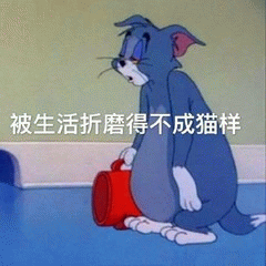 示例图片